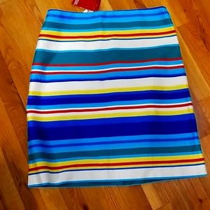 NWT Colorful striped skirt